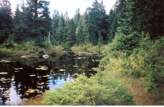 Another lake, on the trail to Lindsay Lake 2004-10.